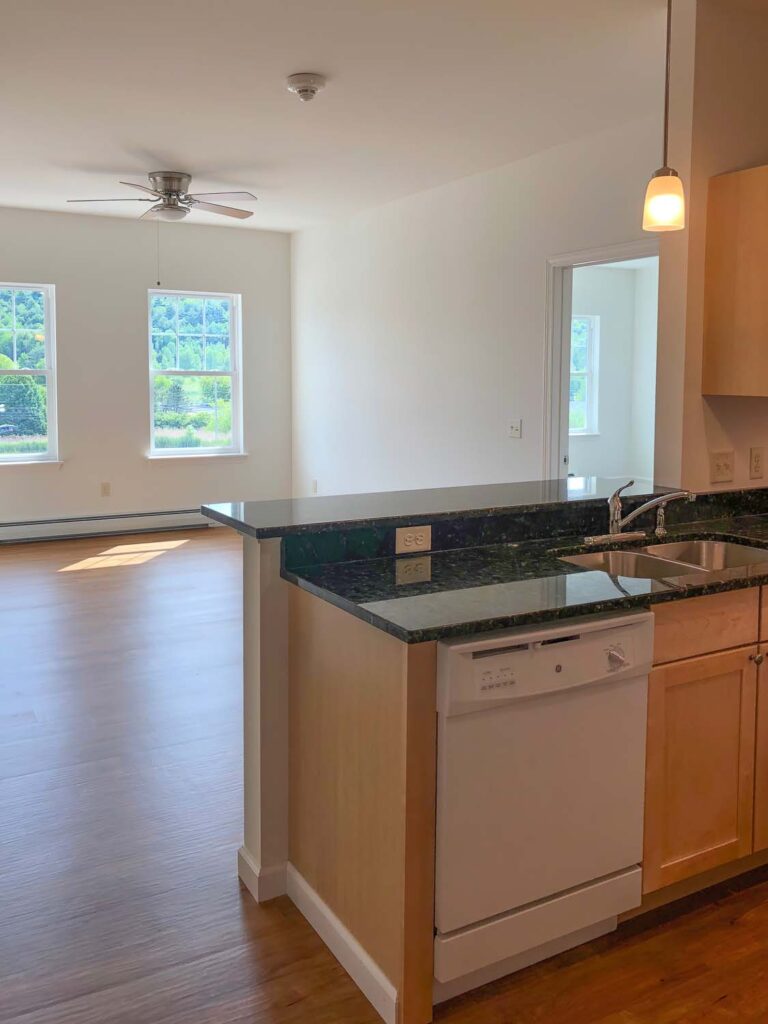 View of kitchen sink and dishwasher at 100 Griffin Lane